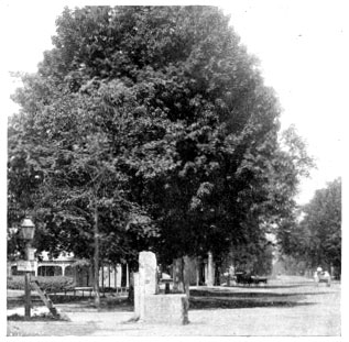 Main Street, Stockbridge.