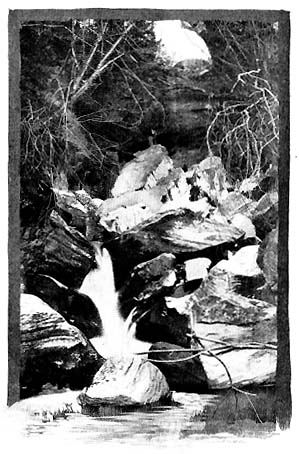 Natural Bridge